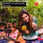 honey bee dog brush