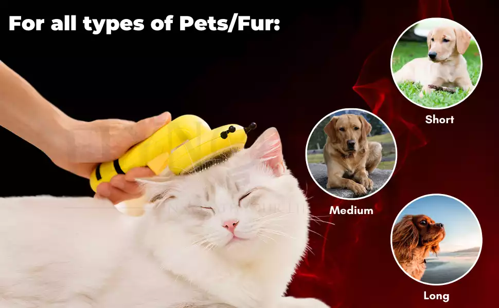 little bee cat brush